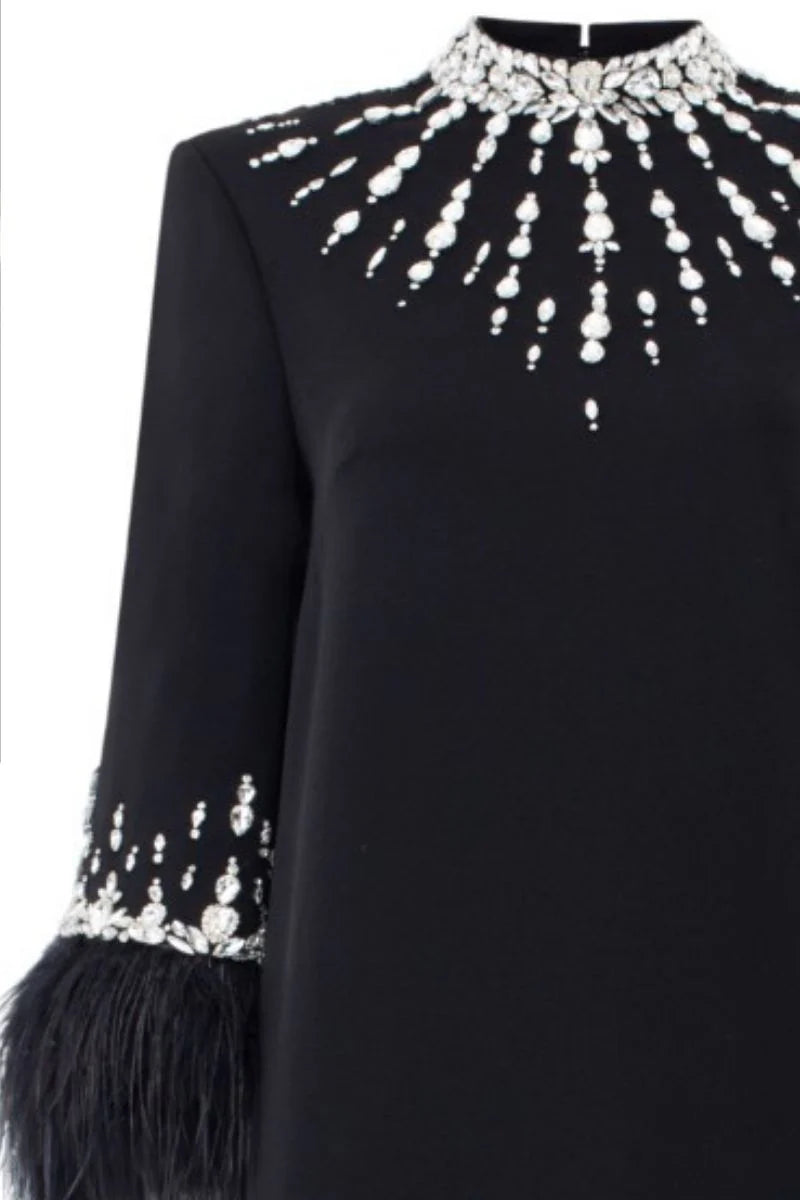 embellished column gown with feather-trimmed sleeves – NOIRÉ