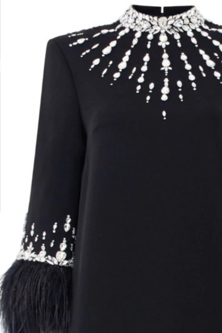 embellished column gown with feather-trimmed sleeves – NOIRÉ