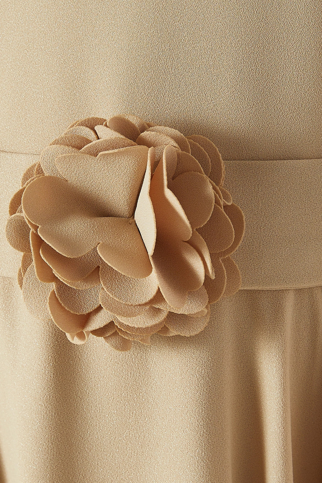 Cape Sleeve Maxi Dress with Floral Appliqué – PETAL