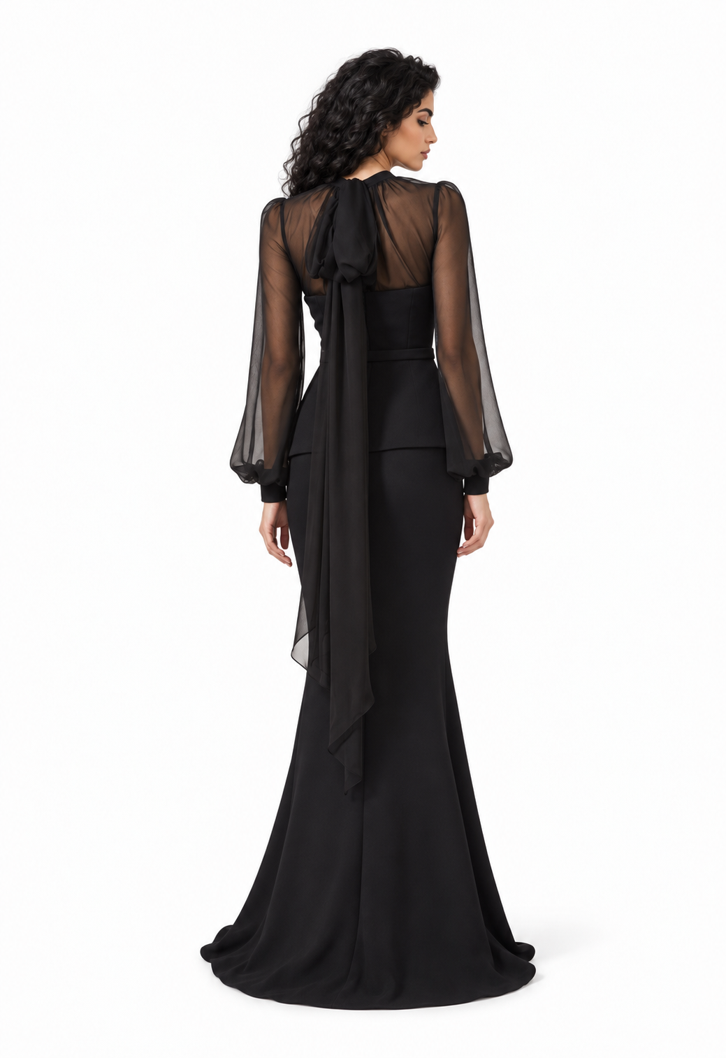 Embellished Sheer Sleeve Evening Gown - Noirevia