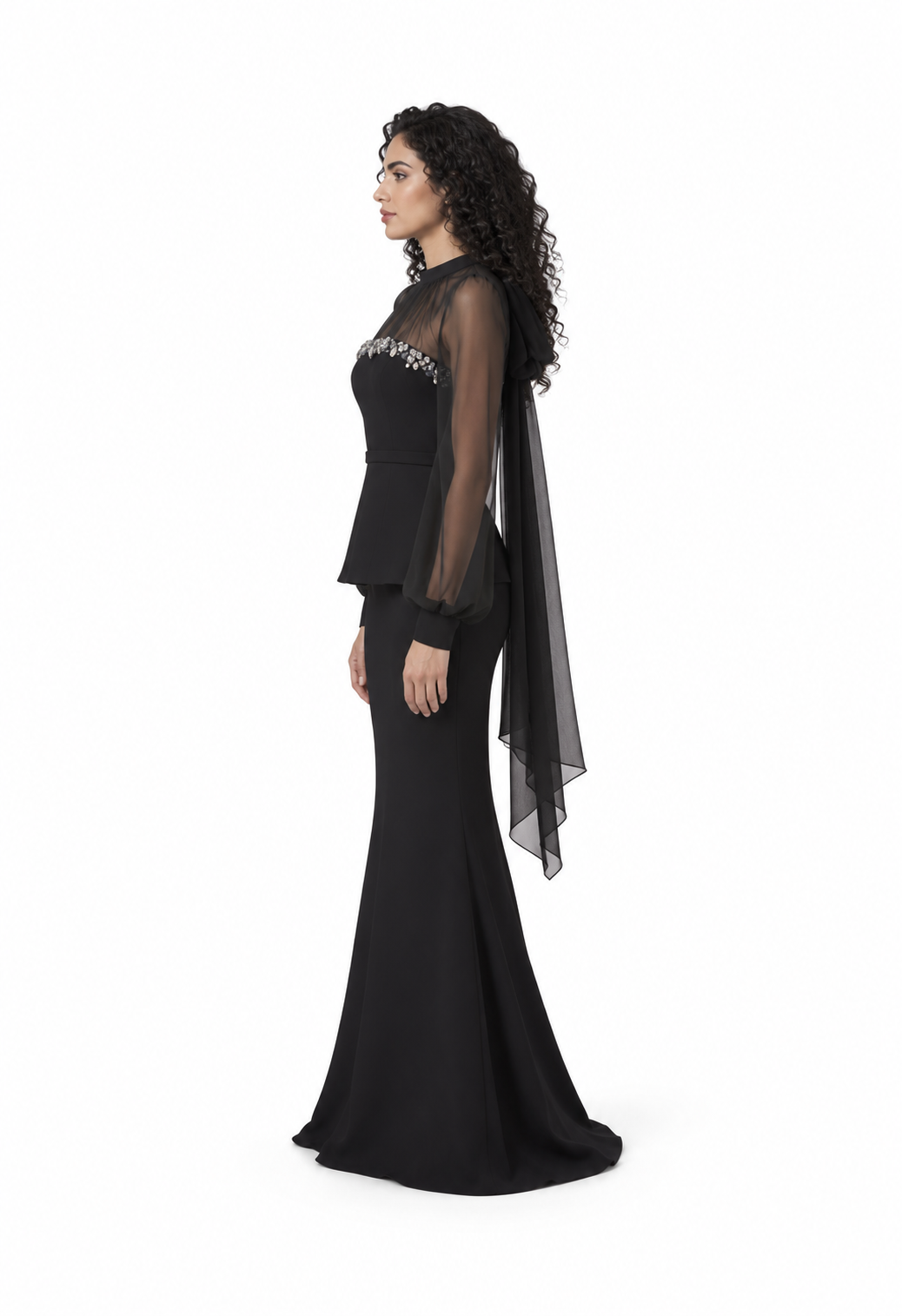 Embellished Sheer Sleeve Evening Gown - Noirevia