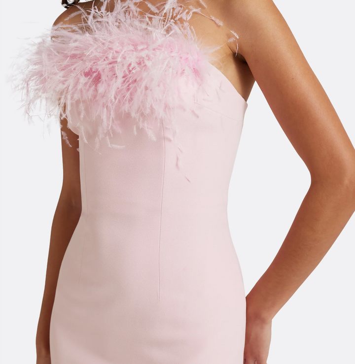 Blush Feather Trim Strapless Evening Gown - Feather