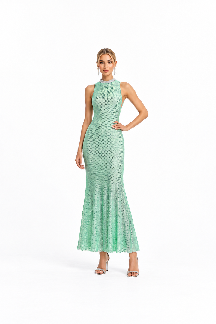 Embellished High-Neck Maxi Dress – Marina