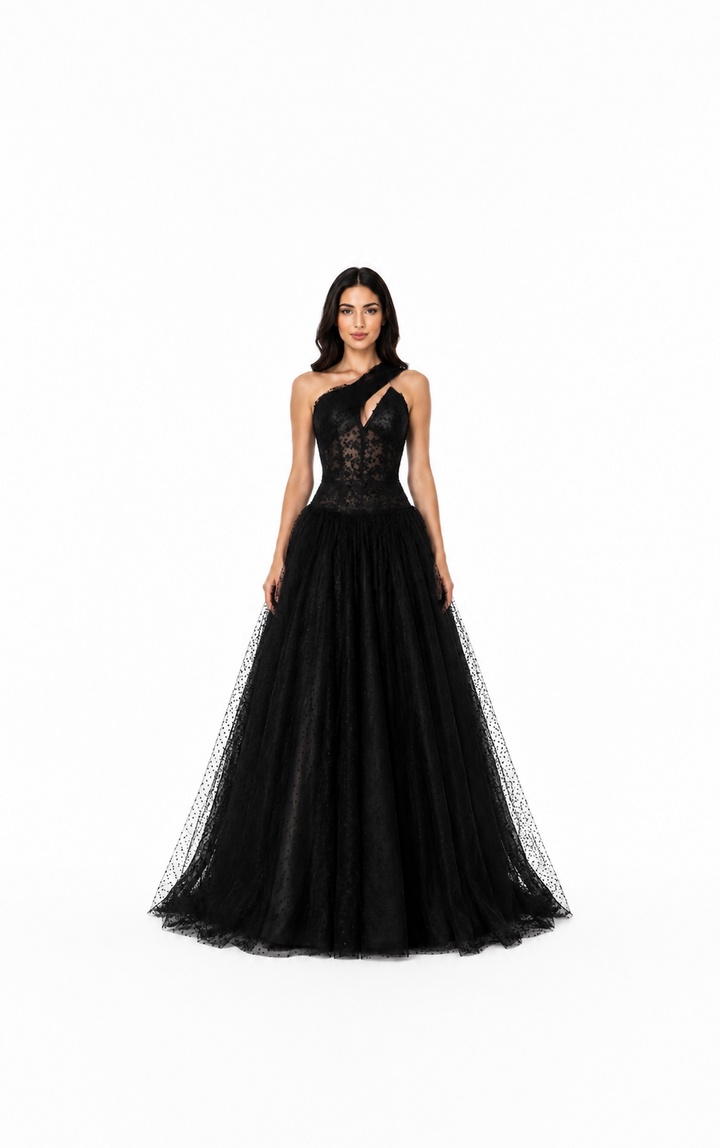 Black One-Shoulder Tulle Evening Gown – ZÉLORA