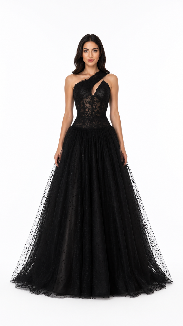 Black One-Shoulder Tulle Evening Gown – ZÉLORA