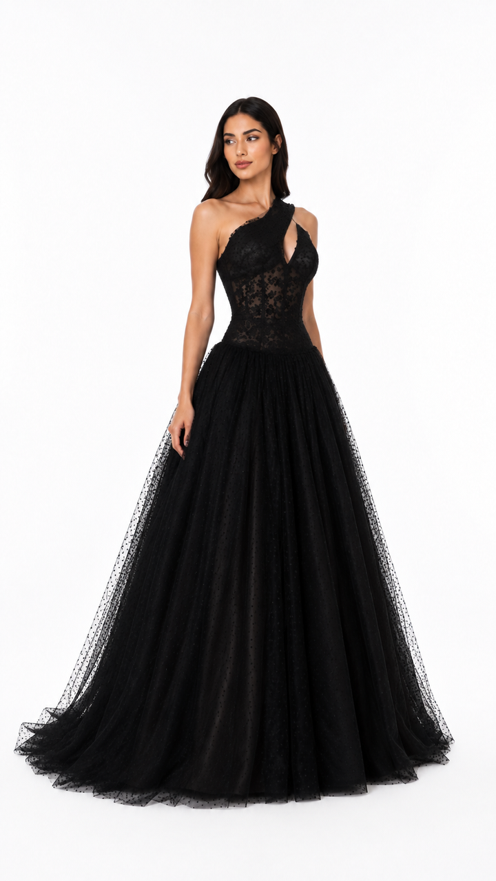 Black One-Shoulder Tulle Evening Gown – ZÉLORA