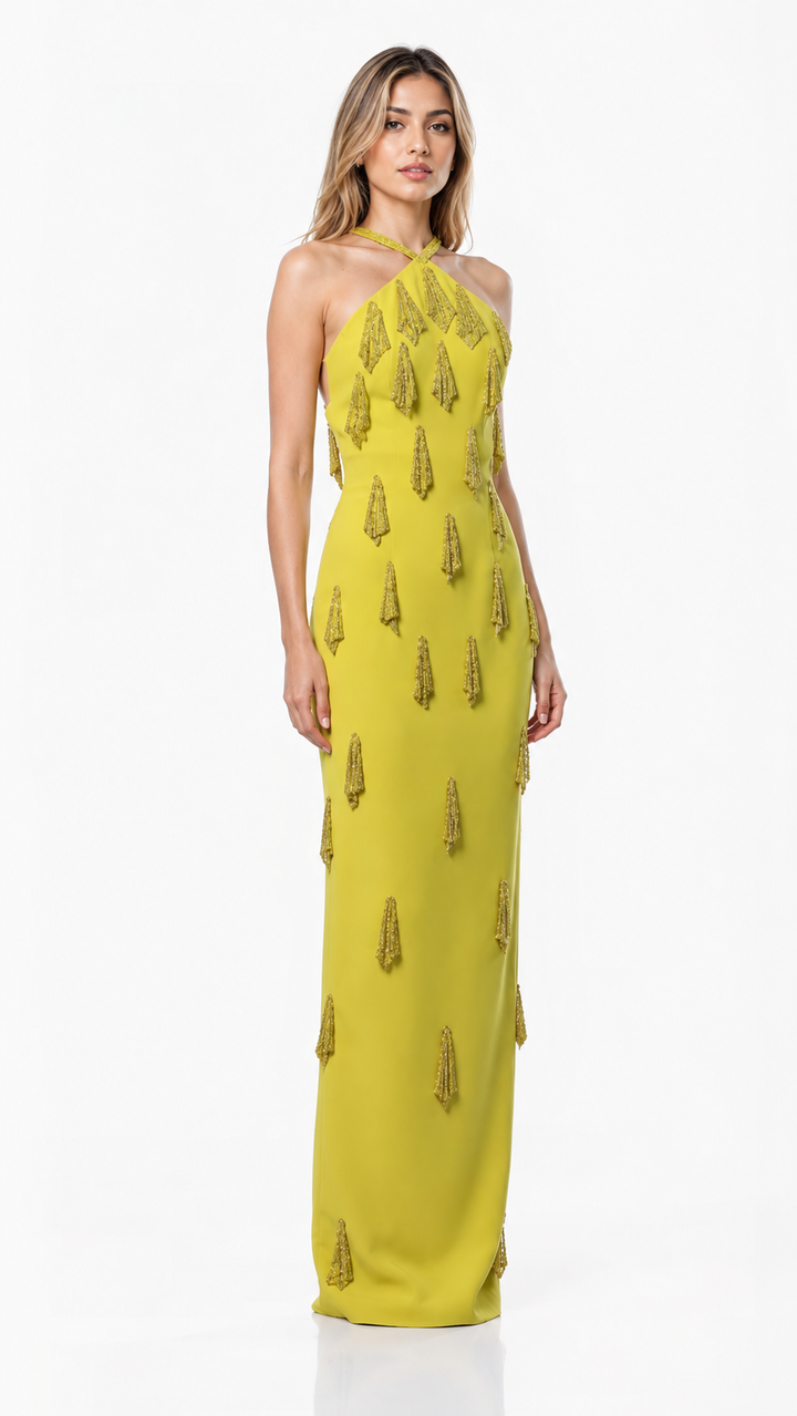 Lime Green Embellished Halter Evening Gown – ZELVIA