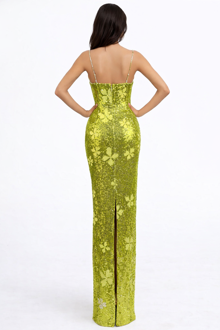 embellished corset maxi dress with floral appliqué – VERDÉA