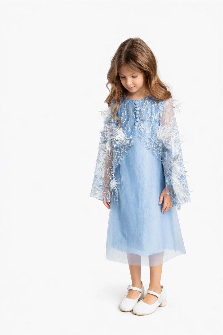 Chiffon Mini Dress with Embroidered Feather Sleeves – SKYELLE
