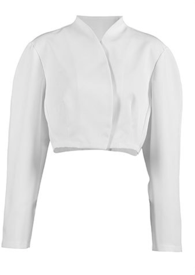 structured cropped jacket with sculpted sleeves – LAVIN