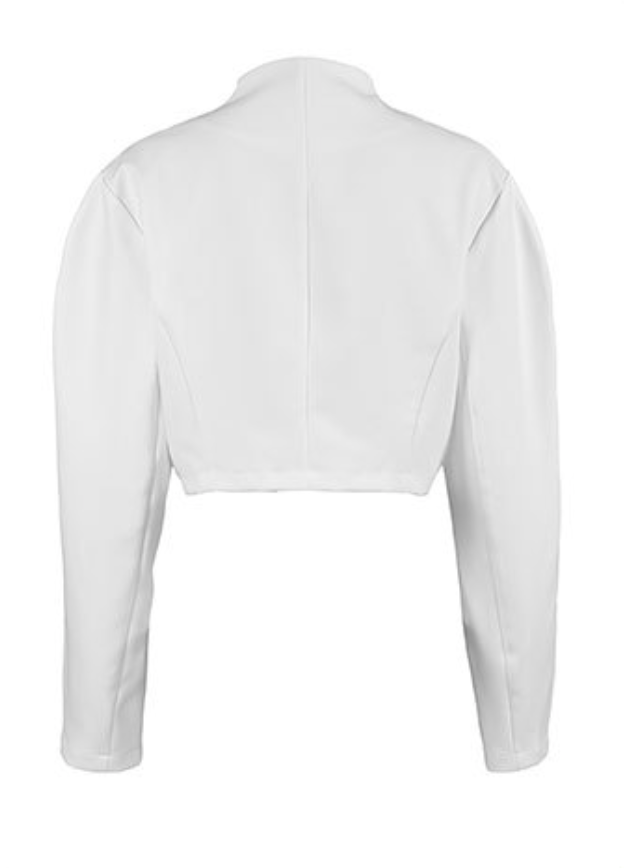 structured cropped jacket with sculpted sleeves – LAVIN