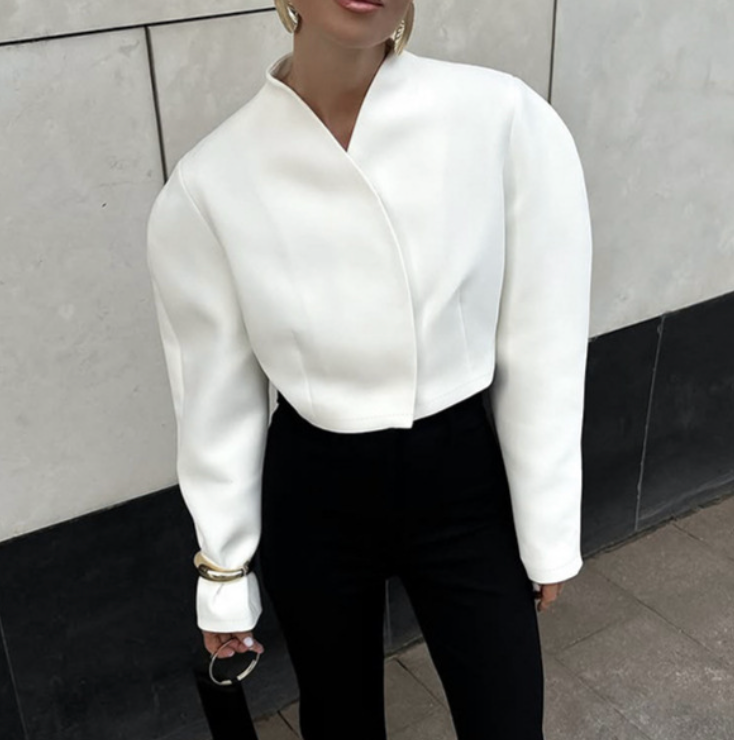 structured cropped jacket with sculpted sleeves – LAVIN