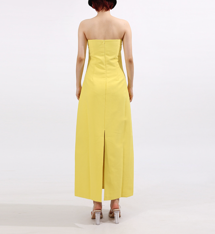 Strapless Column Maxi Dress with Floral Embroidery – IRIS