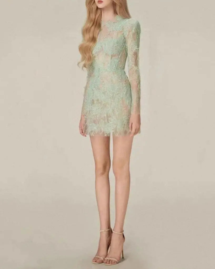 long-sleeve lace mini dress with sheer bodice – ELODIEZU