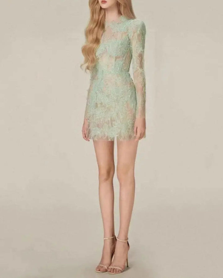 long-sleeve lace mini dress with sheer bodice – ELODIEZU