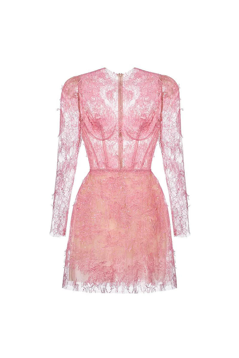 long-sleeve lace mini dress with sheer bodice – ELODIEZU