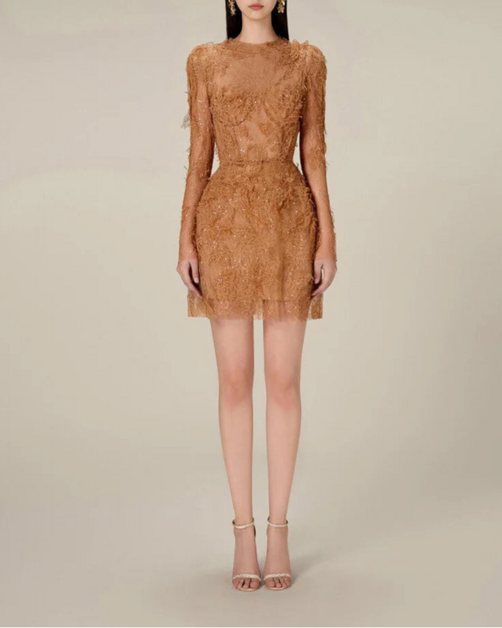 long-sleeve lace mini dress with sheer bodice – ELODIEZU