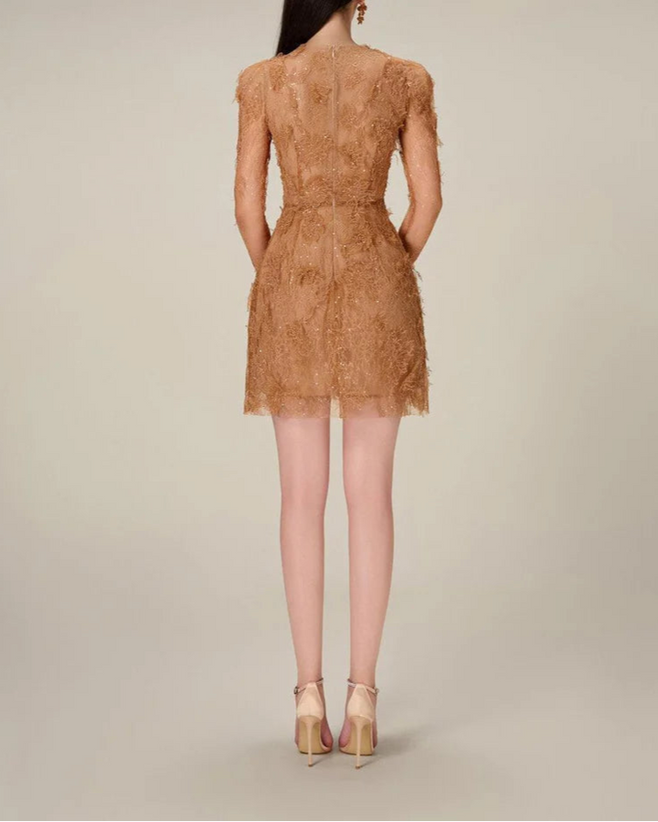 long-sleeve lace mini dress with sheer bodice – ELODIEZU