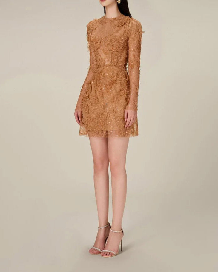 long-sleeve lace mini dress with sheer bodice – ELODIEZU