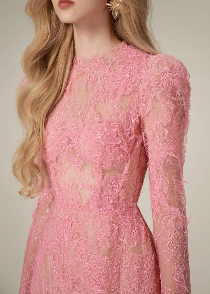 long-sleeve lace mini dress with sheer bodice – ELODIEZU