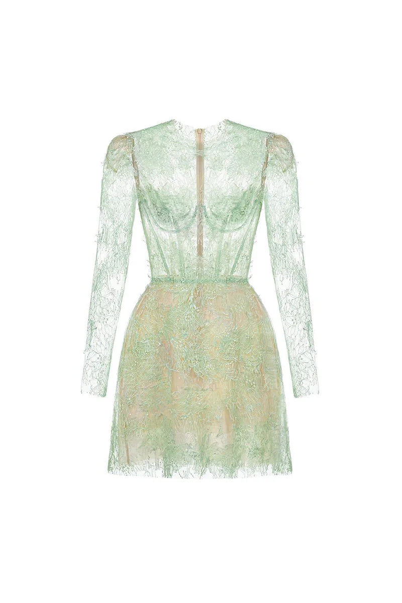 long-sleeve lace mini dress with sheer bodice – ELODIEZU